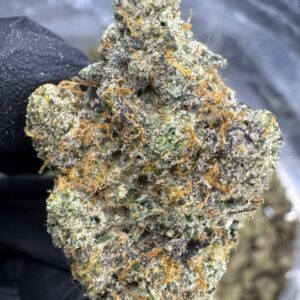 Apple Scotti THCA FLOWER EXOTIC INDO0R