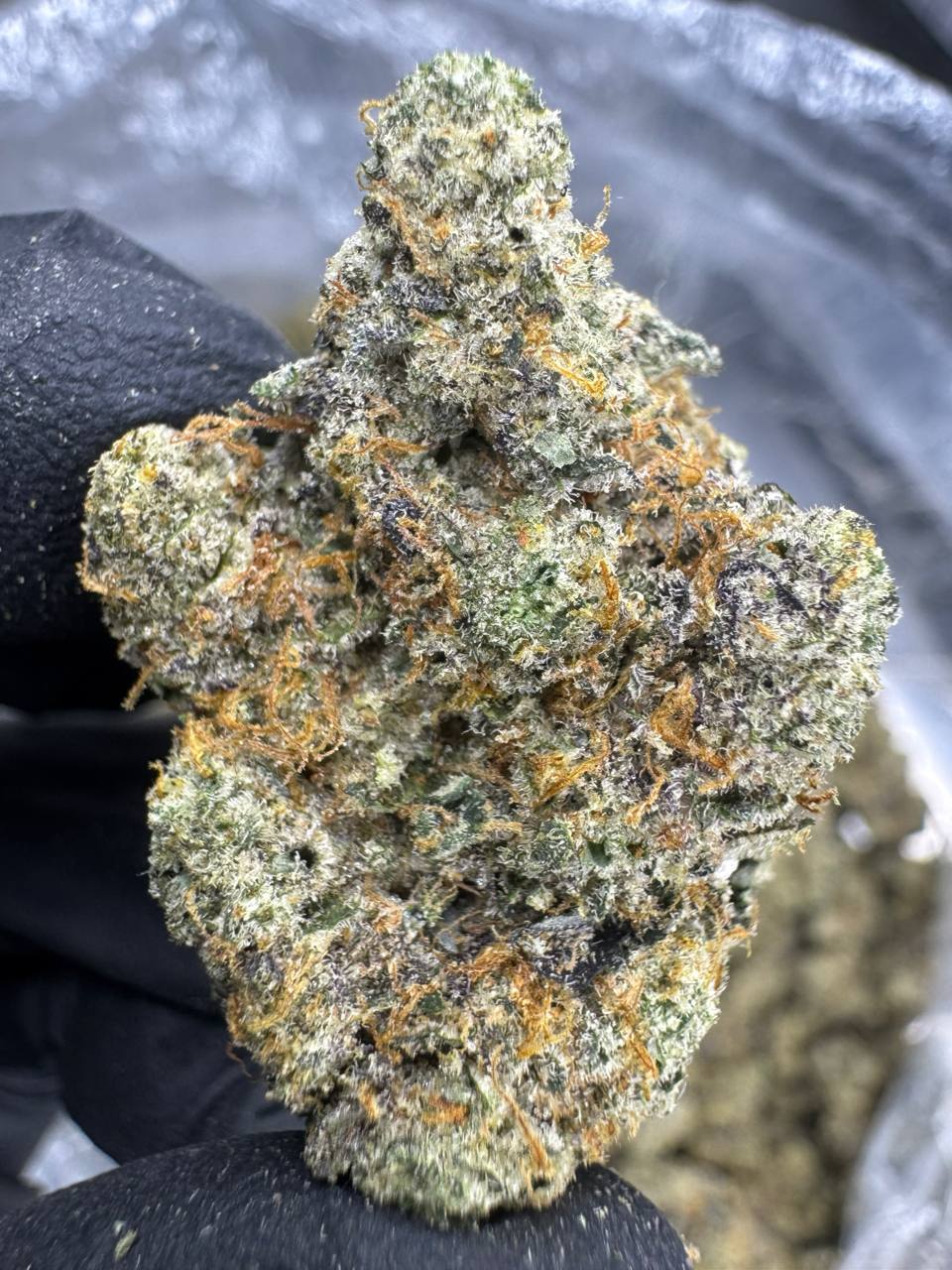 Apple_Scotti_Exotic_THCA_1050x (1)