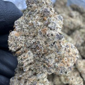 Sub Zero - THCA FLOWER - EXOTIC IND0OR