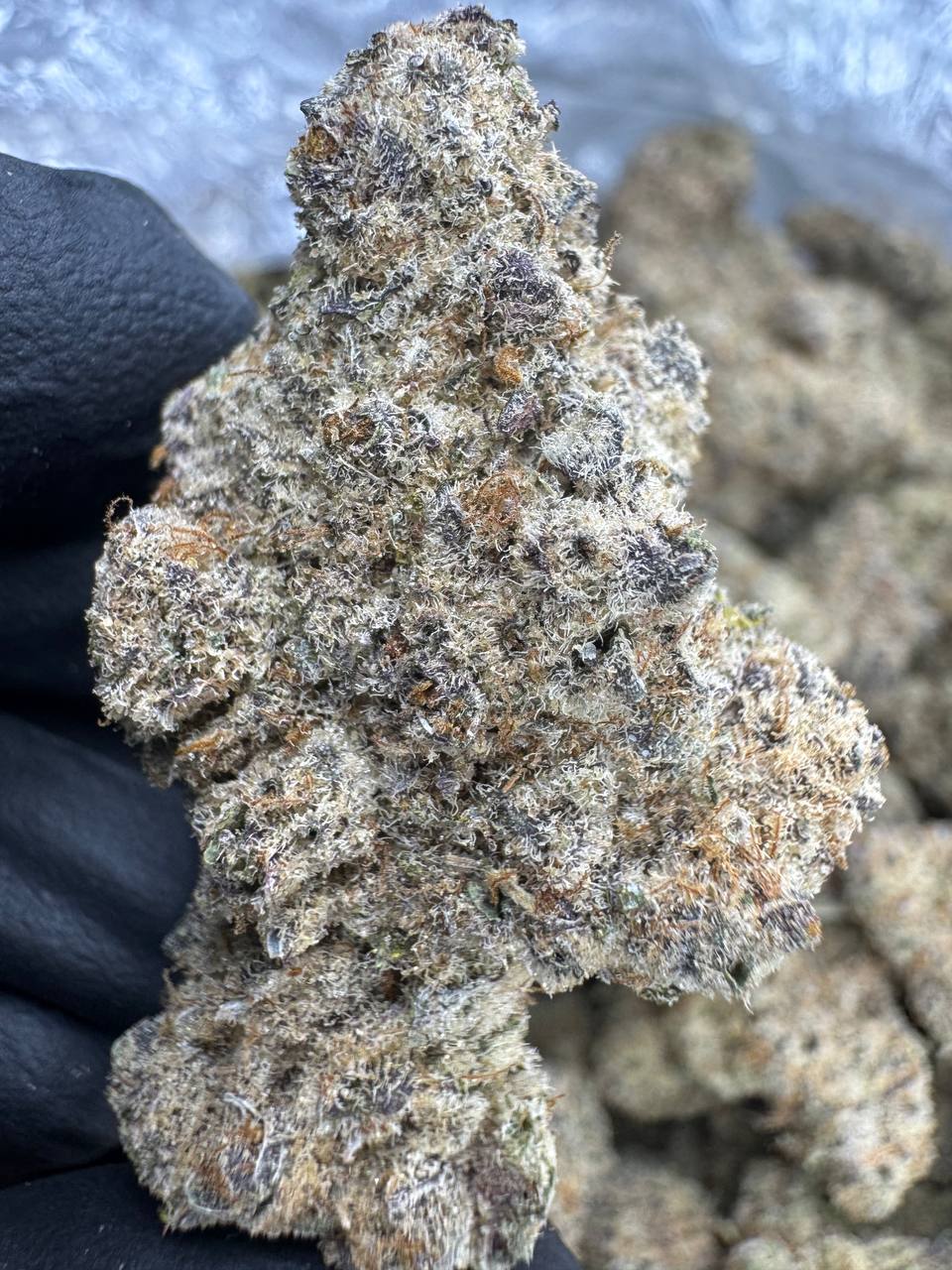 SubZero_Exotic_THCA_7b1bb961-5b6d-4e2e-8160-f5516f60dead_1050x