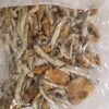 Buy Cambodians Magic Mushrooms